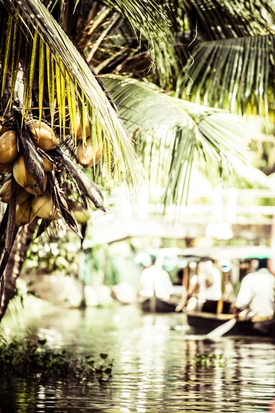 Woonboot in backwaters in de buurt van palmen in alappuzha, kerala, india — Stockfoto