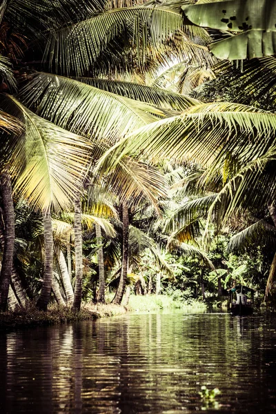 Woonboot in backwaters in de buurt van palmen in alappuzha, kerala, india — Stockfoto