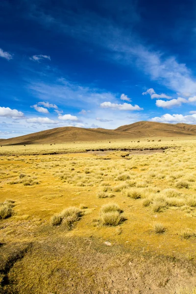 砂漠と青い空と白い雲アルティプラーノ ボリビアの上の山 — ストック写真