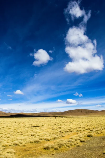 Desierto y montaña sobre cielo azul y nubes blancas en Altiplano, Bolivia —  Fotos de Stock