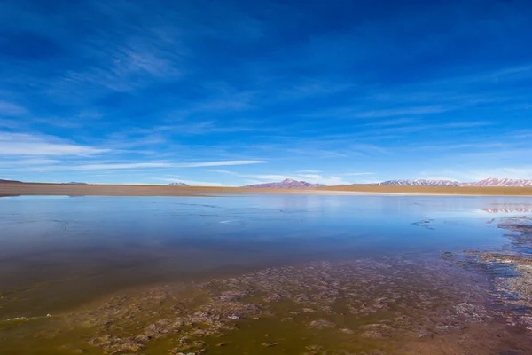 Deserto e montagna sopra il cielo blu e nuvole bianche su Altiplano, Bolivia — Foto Stock