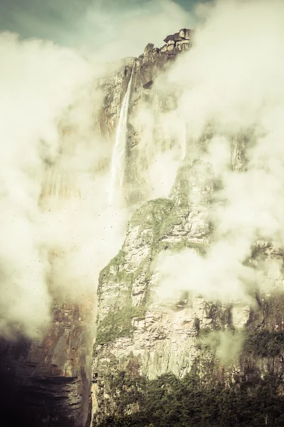 天使の滝 (salto の天使) は世界最高の滝 (978 メートル), ベネズエラです。 — ストック写真