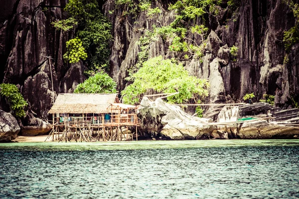 Зеленое дерево на белом песке. Остров Малкапуйя, Корон, Филиппины . — стоковое фото