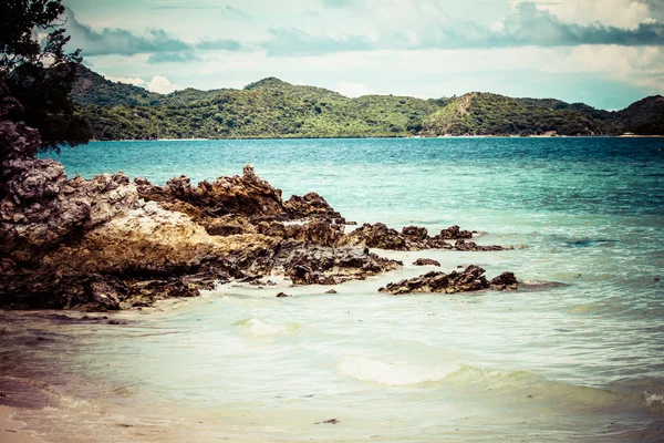 Green tree on a white sand beach. Malcapuya island, Coron, Philippines. — Stock Photo, Image