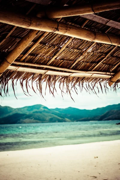 Grüner Baum an einem weißen Sandstrand. Insel Malcapuya, Coron, Philippinen. — Stockfoto