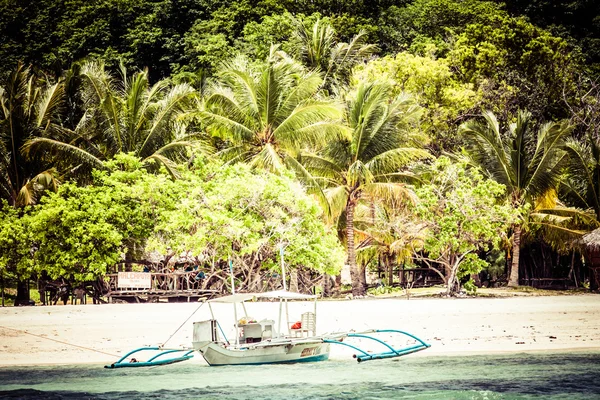 Árbol verde en una playa de arena blanca. Isla Malcapuya, Coron, Filipinas . —  Fotos de Stock