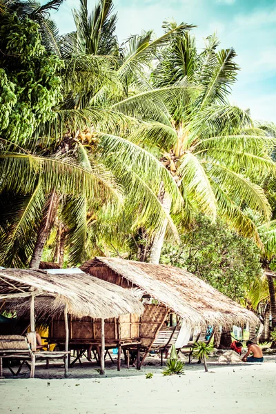 Groene boom op een wit zandstrand. Malcapuya Island, Coron, Filipijnen. — Stockfoto