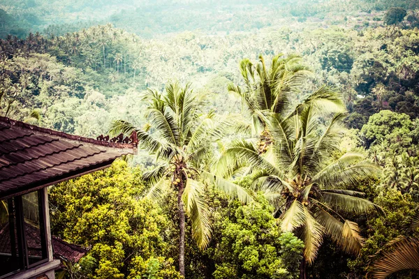 Taras pól ryżowych w rano wschód, Bali, bali, Indonezja — Zdjęcie stockowe