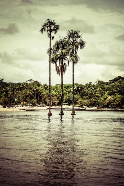 Cachoeira e a lagoa do parque nacional de Canaima - Venezuela — Fotografia de Stock