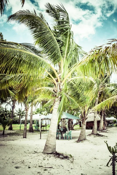 Zelený strom na bílé písečné pláži. Ostrov Malcapuya, Coron, Filipíny. — Stock fotografie