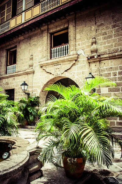 Plam decoración de la casa sobre fondo de ladrillo — Foto de Stock