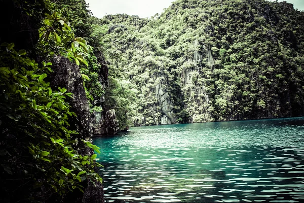 Trópusi tengerparton. Coron, busuanga-szigetek, palawan tartomány, Fülöp-szigetek. — Stock Fotó