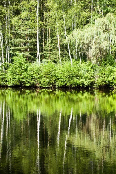 绿湖自然景观 — 图库照片