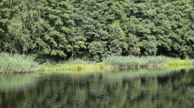 Yeşil Göl doğa manzara