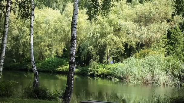 Lago verde naturaleza paisaje — Vídeo de stock