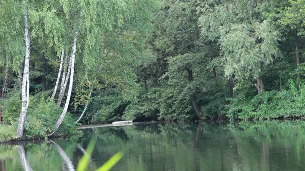 Lago verde naturaleza paisaje — Vídeos de Stock