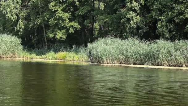 Lac vert paysage nature 