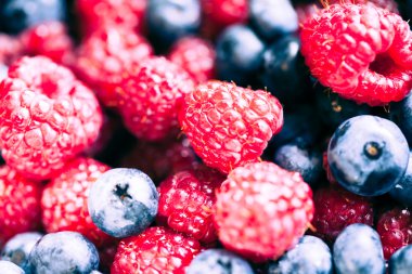 Arka planda farklı taze böğürtlen