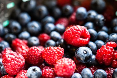 Arka planda farklı taze böğürtlen