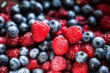 Arka planda farklı taze böğürtlen