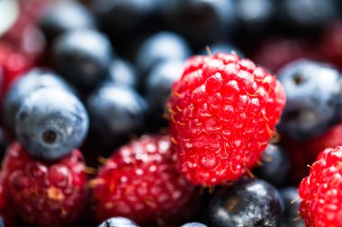 Arka planda farklı taze böğürtlen