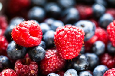 Arka planda farklı taze böğürtlen