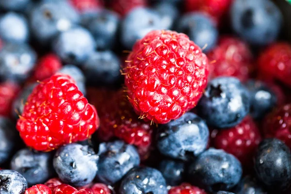 Arka planda farklı taze böğürtlen