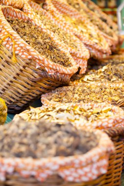 barcelona kurutulmuş mantar bir pazarda, la boqueria pazarlamak