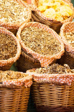 barcelona kurutulmuş mantar bir pazarda, la boqueria pazarlamak