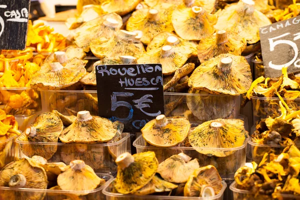 Cogumelos em um stand no Mercado Boqueria, em Barcelona, Espanha . — Fotografia de Stock