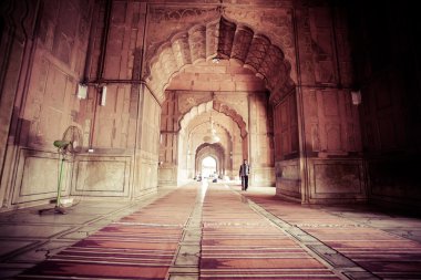 Jama Mescidi Camii, Eski Delhi, Hindistan.