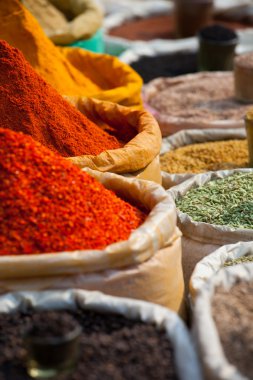 geleneksel baharat pazarında Hindistan.