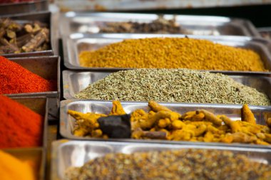 geleneksel baharat pazarında Hindistan.