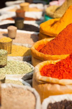 geleneksel baharat pazarında Hindistan.