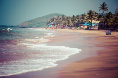 Anjuna çıkarken üzerinde gelgit ile beyaz plaj panorama ıslak kum ve yeşil Hindistan cevizi avuç içi, goa, Hindistan