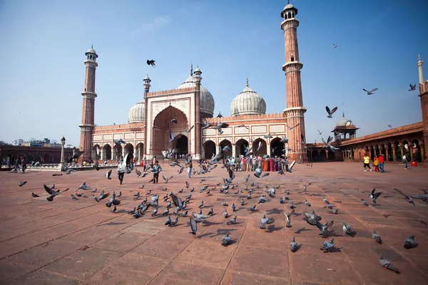 Jama Masjid Moskén, gamla Delhi, Indien. — Stockfoto