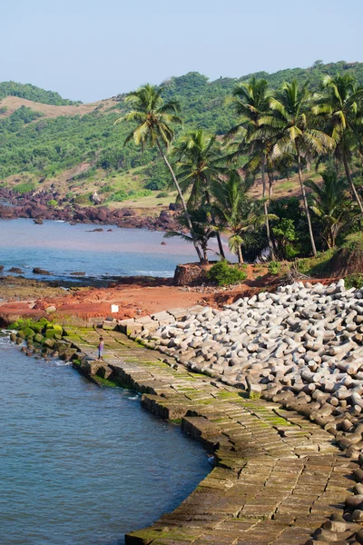 Anjuna verlaten nat strand panorama op EB met wit zand en groene kokospalmen, goa, india — Stockfoto