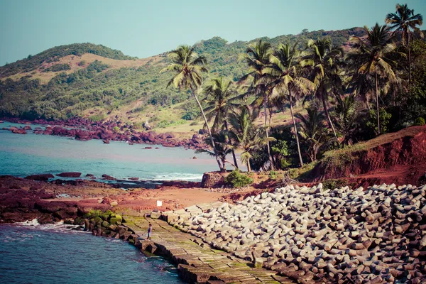 Exiting Anjuna beach panorama on low tide with white wet sand and green coconut palms, Goa, India — Stock Photo, Image