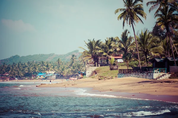 Anjuna çıkarken üzerinde gelgit ile beyaz plaj panorama ıslak kum ve yeşil Hindistan cevizi avuç içi, goa, Hindistan — Stok fotoğraf