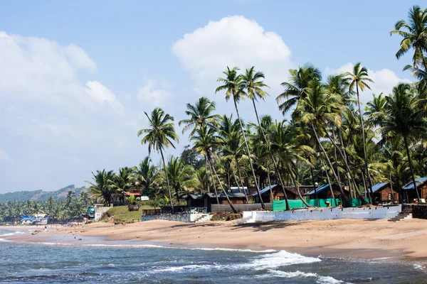 Anjuna çıkarken üzerinde gelgit ile beyaz plaj panorama ıslak kum ve yeşil Hindistan cevizi avuç içi, goa, Hindistan — Stok fotoğraf