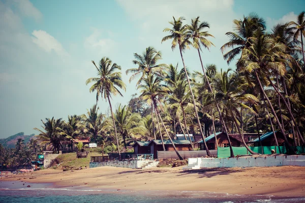 Ukončení anjuna plážovým panoramatem na odlivu s bílou mokrý písek a zelených kokosových palem, goa, Indie — Stock fotografie