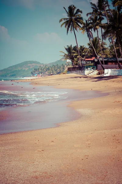 Spännande anjuna våt beach panorama på lågvatten med vit sand och gröna kokospalmer, goa, Indien — Stockfoto