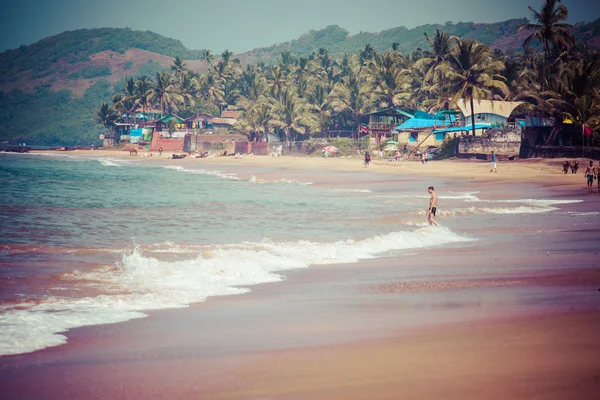 Zamykania anjuna panorama plaży na odpływu z białym mokry piasek i zielone palmy kokosowe, goa, Indie — Zdjęcie stockowe