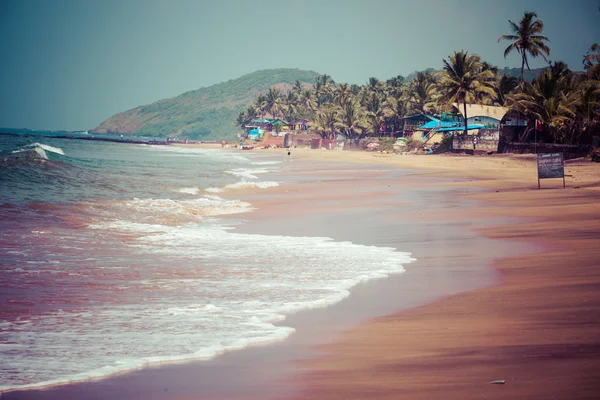 Zamykania anjuna panorama plaży na odpływu z białym mokry piasek i zielone palmy kokosowe, goa, Indie — Zdjęcie stockowe