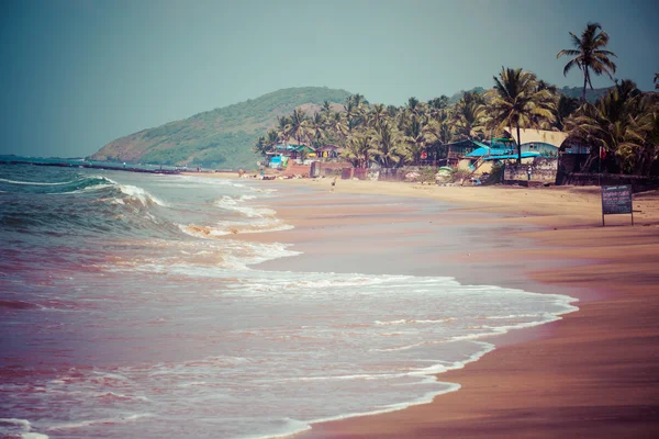 Spännande anjuna våt beach panorama på lågvatten med vit sand och gröna kokospalmer, goa, Indien — Stockfoto