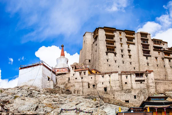 Leh kloster vilar över medeltida staden leh — Stockfoto