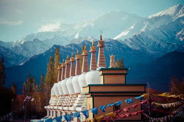 Ladakh no Himalaia indiano, Himachal Pradesh, Índia — Fotografia de Stock