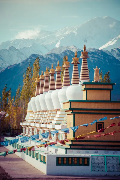 Ladakh en el Himalaya indio, Himachal Pradesh, India — Foto de Stock