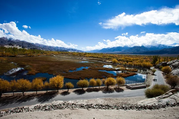Beautiful scenery, Leh, Ladakh, Jammu and Kashmir, India — Stock Photo, Image