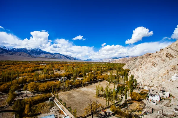 Beautiful scenery, Leh, Ladakh, Jammu and Kashmir, India — Stock Photo, Image